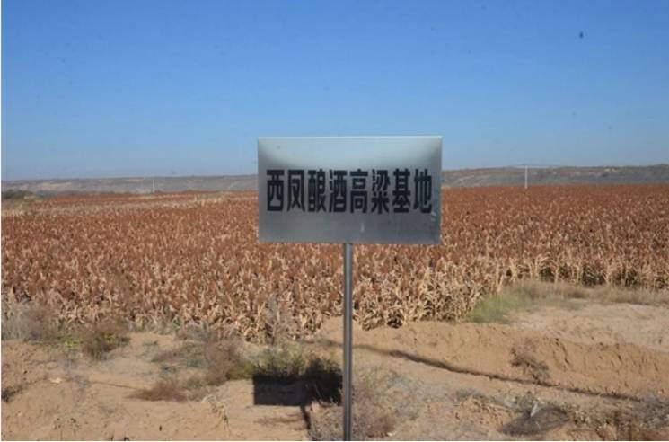 西鳳酒：展現(xiàn)傳統(tǒng)釀造技藝<strong></p>
<p>西鳳酒
</strong>，卓越品質(zhì)續(xù)寫(xiě)華章:西鳳酒
