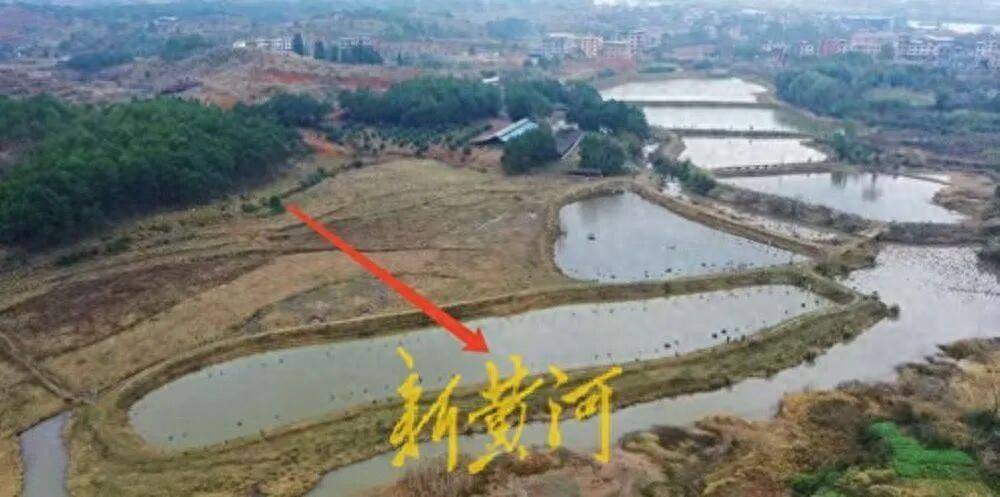 65歲農(nóng)婦荒塘養(yǎng)魚被判“非法占用農(nóng)地”：羈押10月后免刑，仍喊“我沒(méi)罪”:西鳳酒

