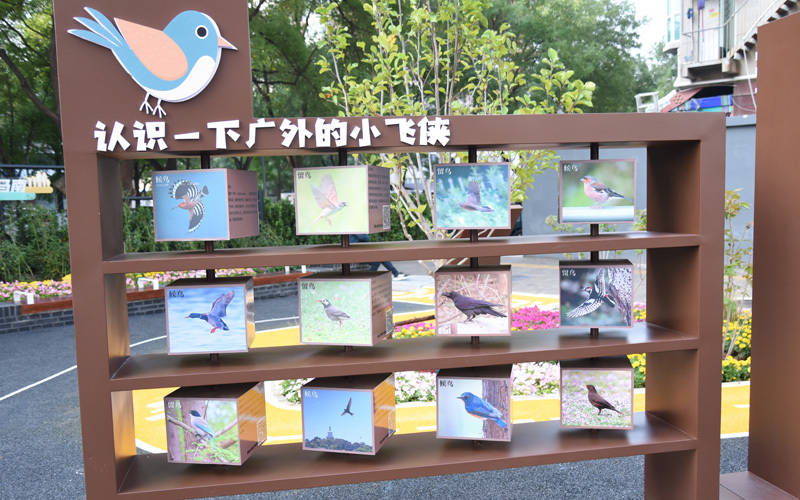 西城區(qū)廣外街道：“斷頭路”變身口袋公園<strong></p>
<p>西鳳酒
</strong>，裝滿民生“微幸?！?西鳳酒
