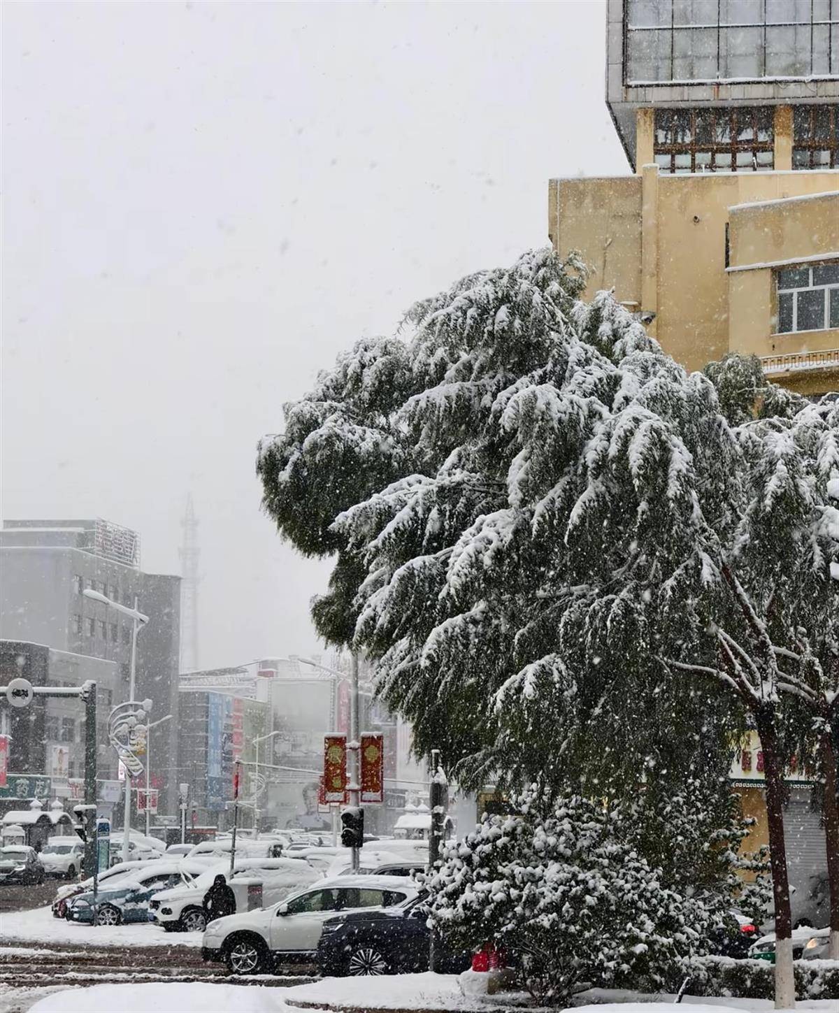 北方多地迎來(lái)第一場(chǎng)雪<strong></p>
<p>西鳳酒
</strong>，黑龍江局地已出現(xiàn)暴雪，積雪深5厘米，氣象專家稱今年初雪略提前:西鳳酒
