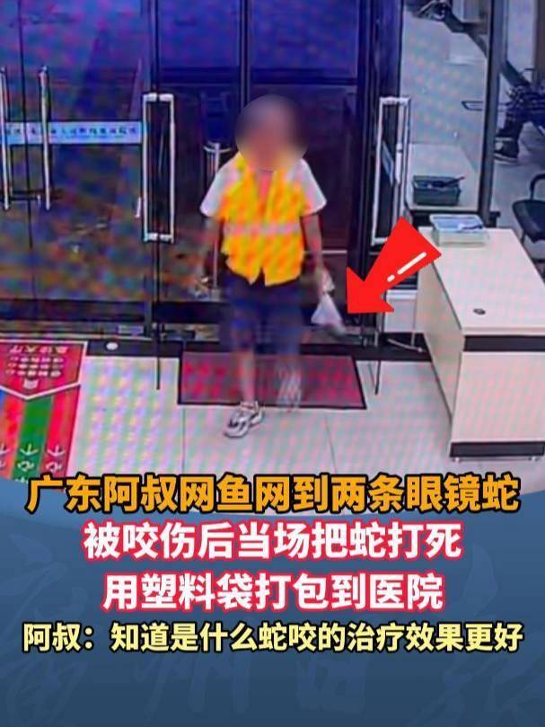 廣東62歲阿叔網(wǎng)魚網(wǎng)到2條眼鏡蛇<strong></p>
<p>西鳳酒
</strong>，被咬傷后當場打死，并打包提進醫(yī)院:西鳳酒
