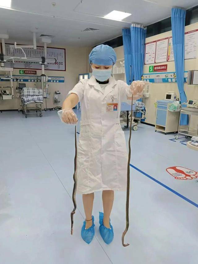 廣東62歲阿叔網(wǎng)魚網(wǎng)到2條眼鏡蛇<strong></p>
<p>西鳳酒
</strong>，被咬傷后當場打死，并打包提進醫(yī)院:西鳳酒
