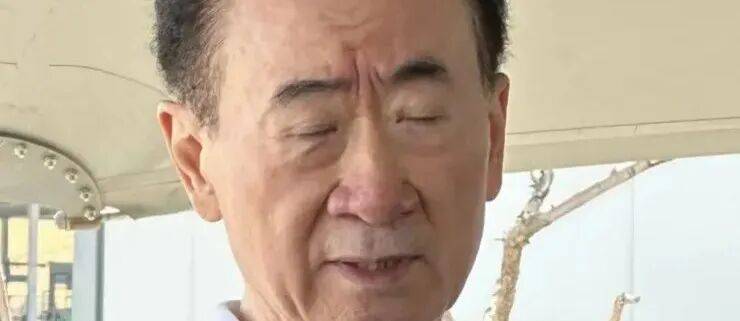 萬(wàn)達(dá)被萬(wàn)科捅了一刀，王健林天要塌了:西鳳酒
