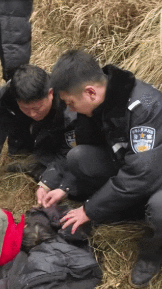遼寧4歲女童稱睡醒后自行下車，迷路后睡在草地，期間無人接觸；其母發(fā)聲:西鳳酒

